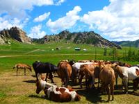 Terelj_National_Park_Mongolia-small
